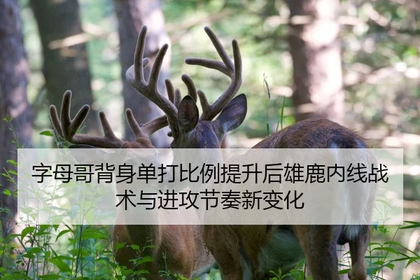 字母哥背身单打比例提升后雄鹿内线战术与进攻节奏新变化